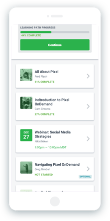 Pixel mobile view, learning path