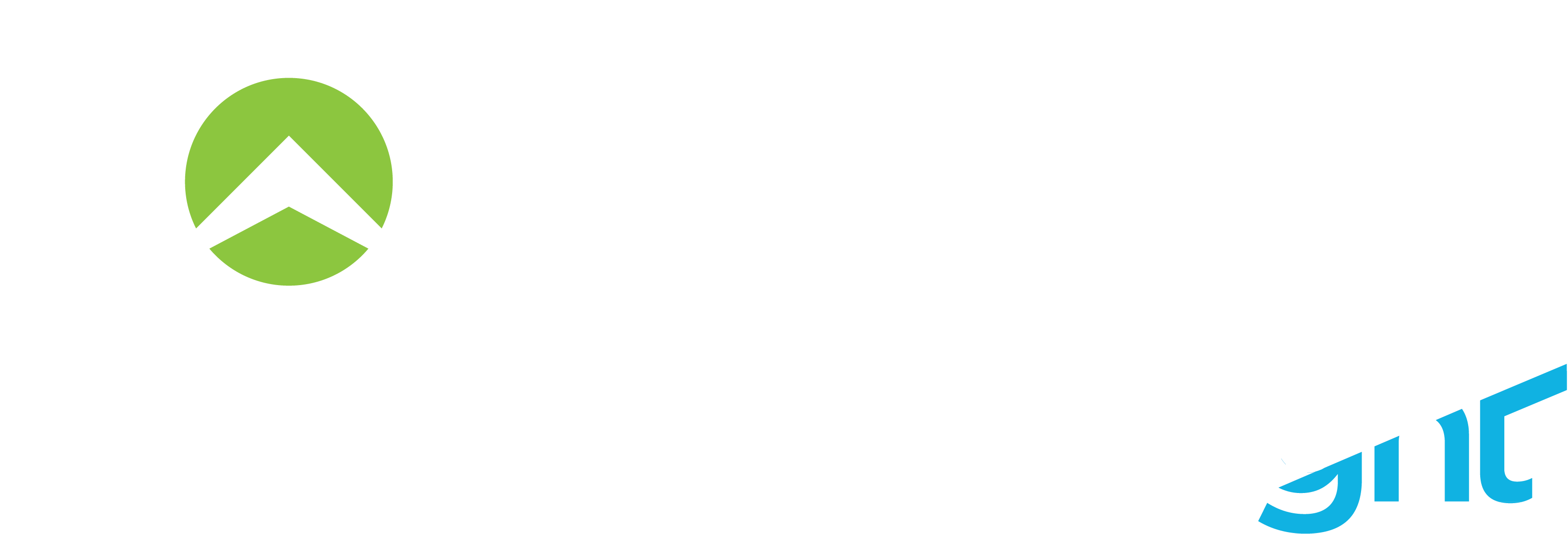Northpass by Gainsight Logo